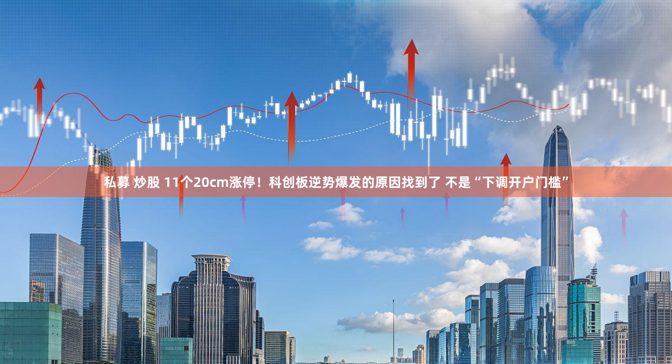 私募 炒股 11个20cm涨停！科创板逆势爆发的原因找到了 不是“下调开户门槛”