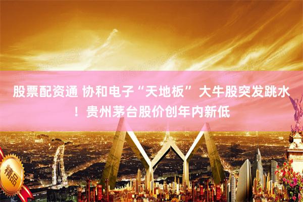 股票配资通 协和电子“天地板” 大牛股突发跳水！贵州茅台股价创年内新低