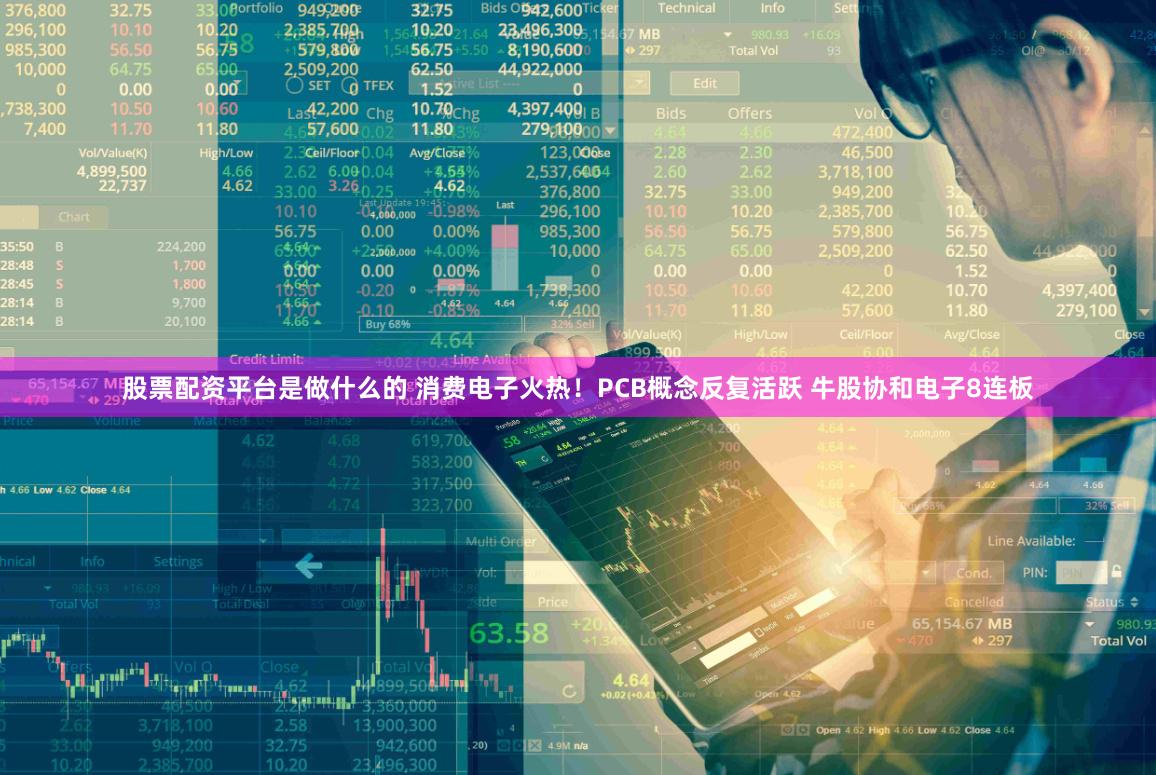 股票配资平台是做什么的 消费电子火热！PCB概念反复活跃 牛股协和电子8连板