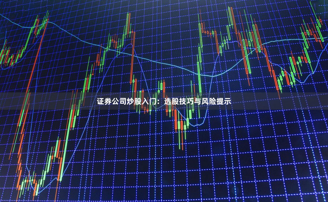 证券公司炒股入门：选股技巧与风险提示