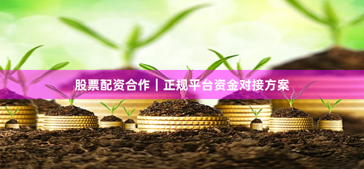 股票配资合作｜正规平台资金对接方案